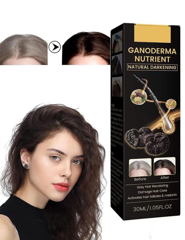 1mm Derma Roller 540 Titanium Needles with Anti-Greying Hair Serum & Free Drakkar Hair Oil Comb Bottle - Organic Ganoderma for Men & Women"